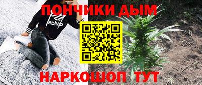 спайс Кингисепп