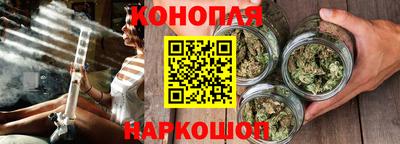 спайс Кингисепп