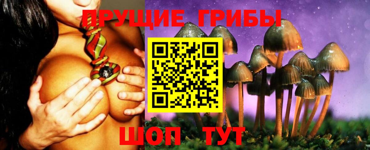 Псилоцибиновые грибы Psilocybe Кулебаки