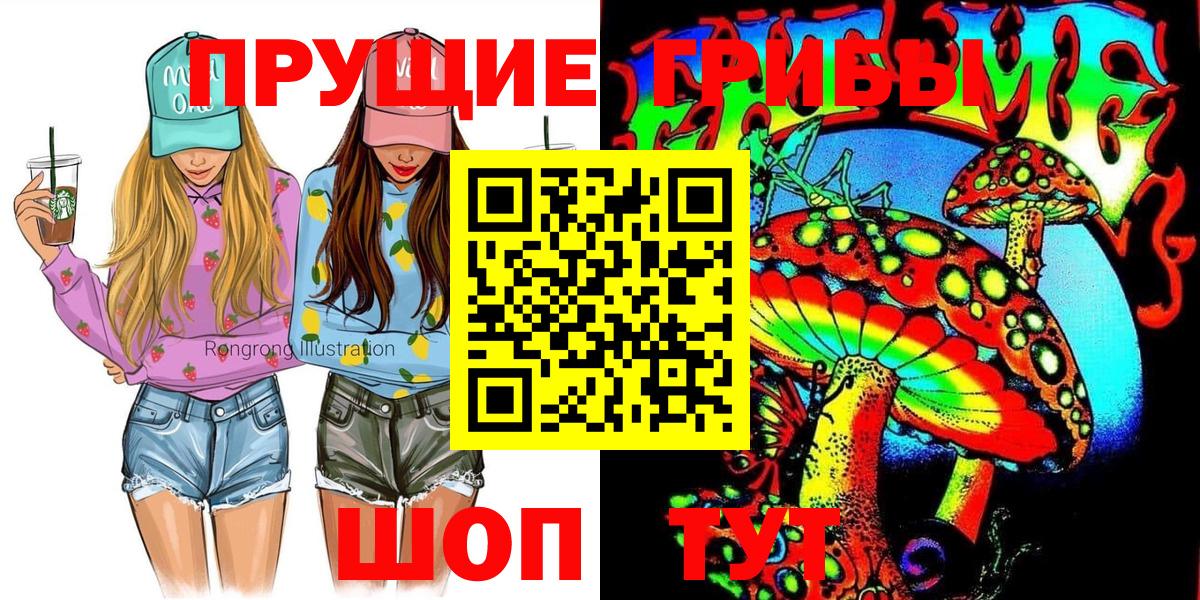 Кулебаки  Псилоцибиновые грибы мицелий  Вход с VPN 